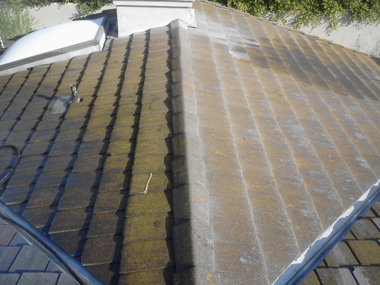 shingle-roof